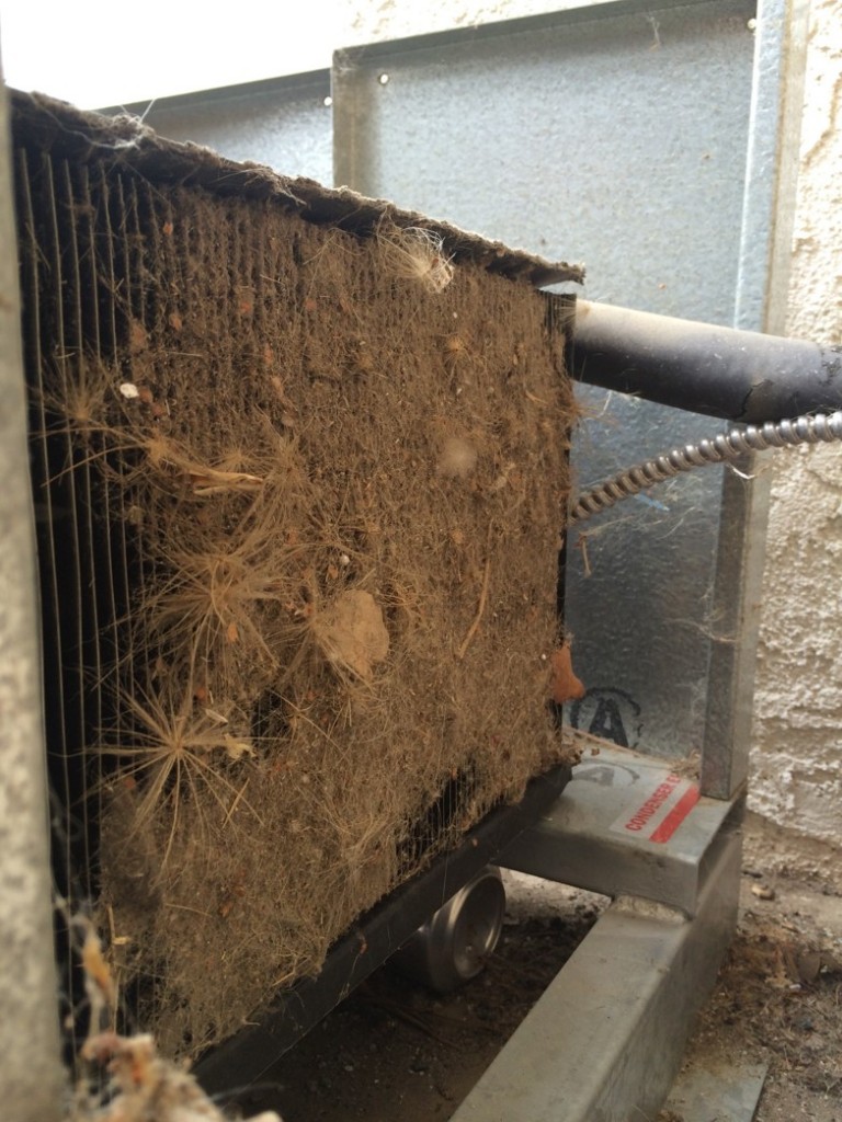 We would have noticed the debris collecting in the cooling systems condensers air filter long before it became critical or even a significant problem
